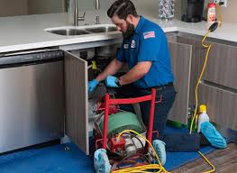 Best Plumbing System Maintenance  in Jamestown, TN